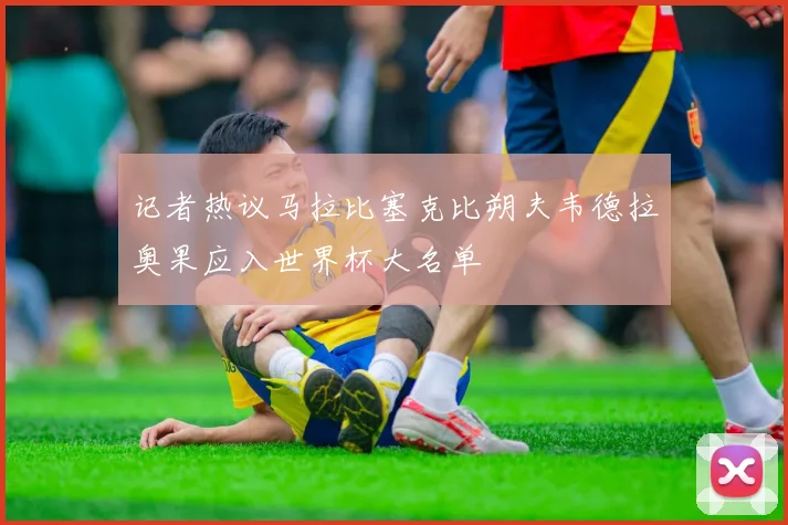 记者热议马拉比塞克比朔夫韦德拉奥果应入世界杯大名单