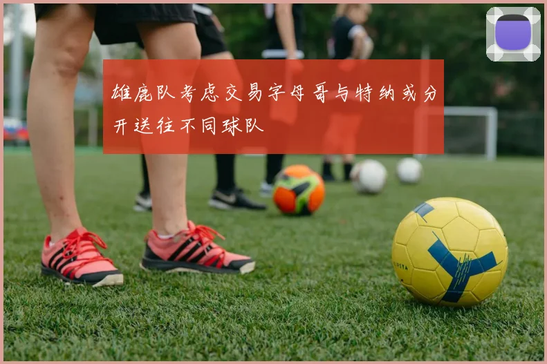 雄鹿队考虑交易字母哥与特纳或分开送往不同球队