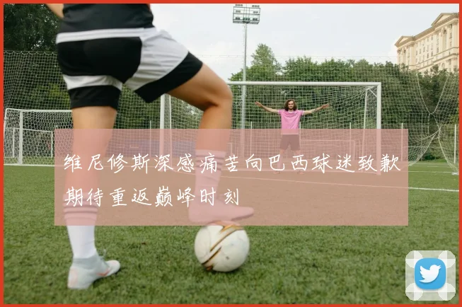维尼修斯深感痛苦向巴西球迷致歉期待重返巅峰时刻