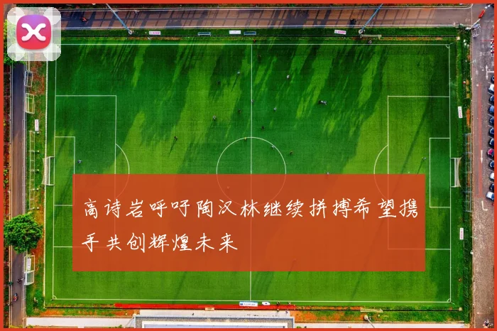 高诗岩呼吁陶汉林继续拼搏希望携手共创辉煌未来